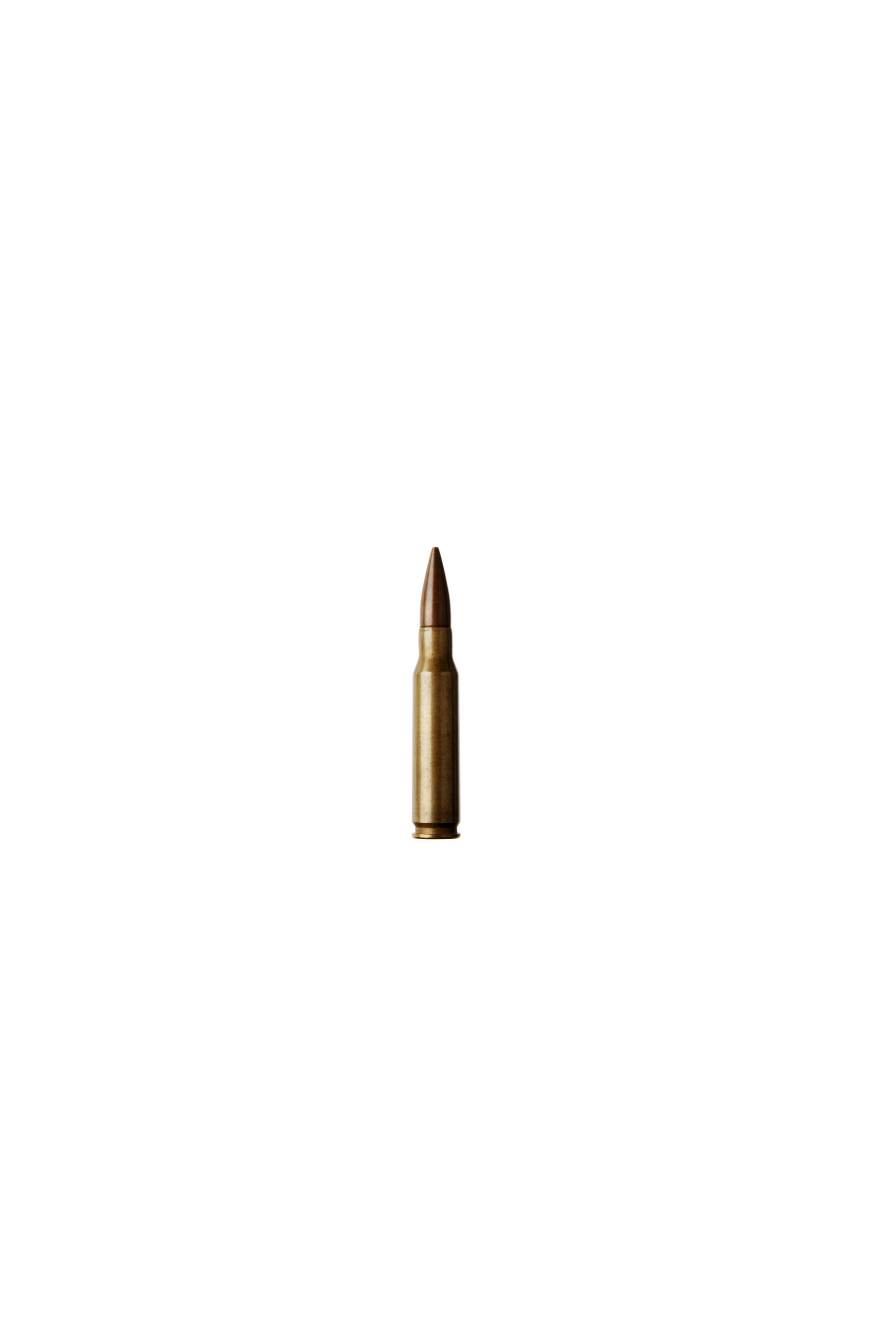 61 bullet - Christien Meindertsma, PIG 05049.jpg