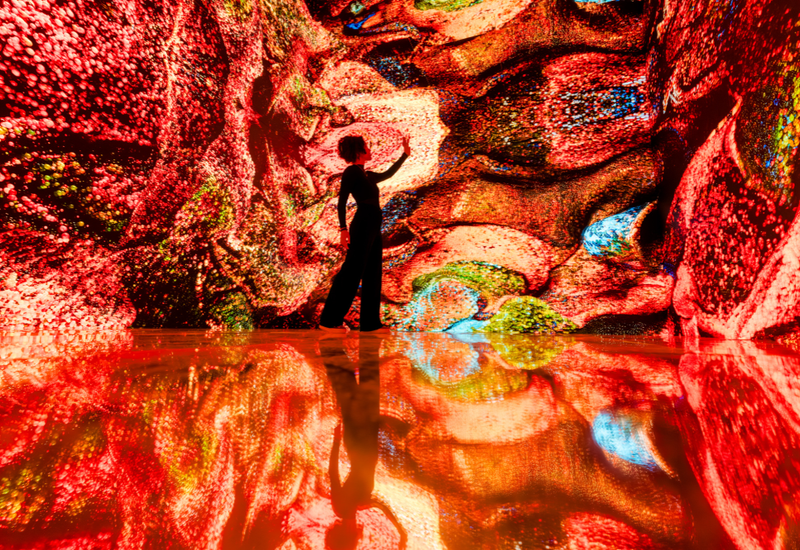 Refik Anadol. Living Paintings: Nature
