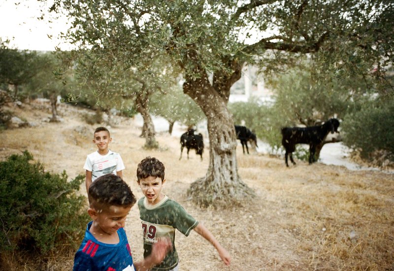 Adam Rouhana. Before Freedom