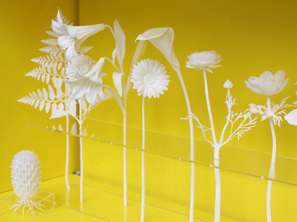 Minale-Maeda, Inside Out Vitrine & Virtual Florist , 2011 01_Minale_Maeda_Galerie_VIVID_LR.jpg