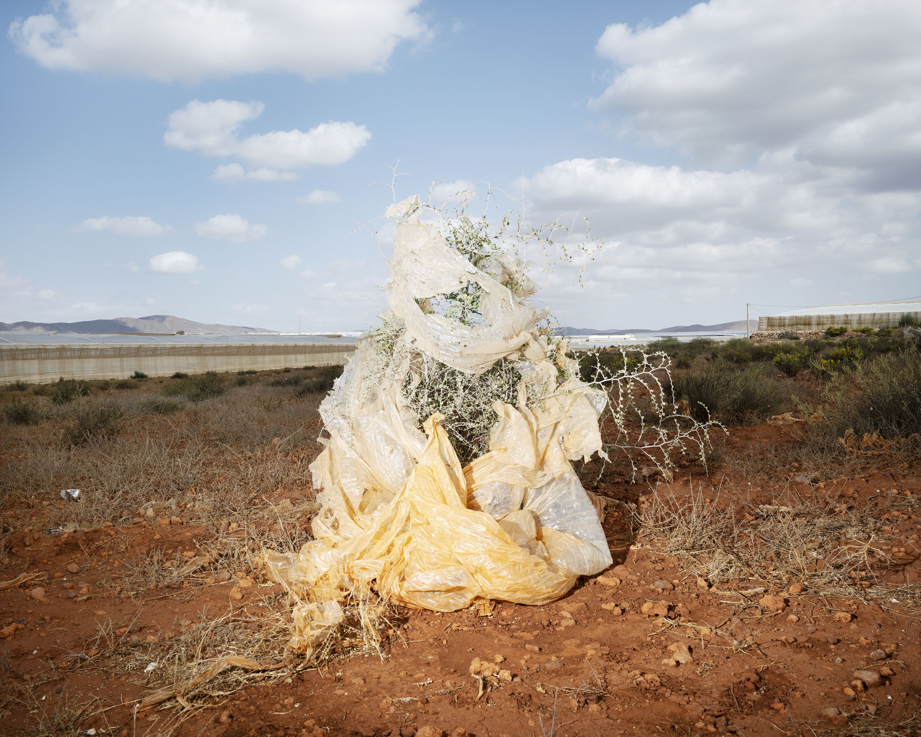 Rob Hornstra, Diseminado Barranquete, 2025, © Rob Hornstra / The Europeans 03_Rob Hornstra_Diseminado Barranquete_ 2025_MR.jpg