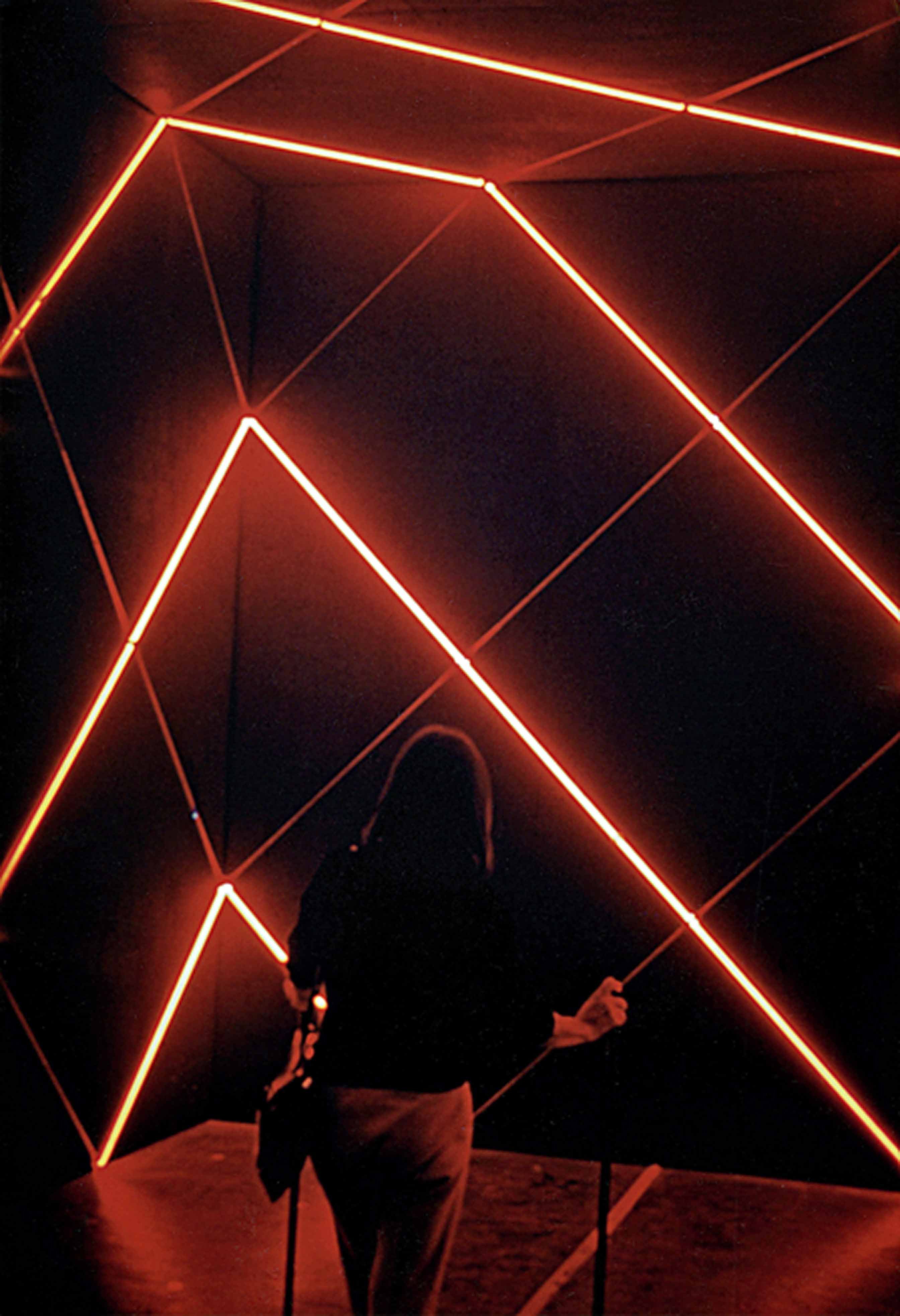 Tentoonstelling Actie Reactie, 2018. François Morellet, 2 trames 45 - 135 de néons interférents, 1972 18 - François Morellet, 2 trames 45 - 135 de néons interférents, 1972.jpg