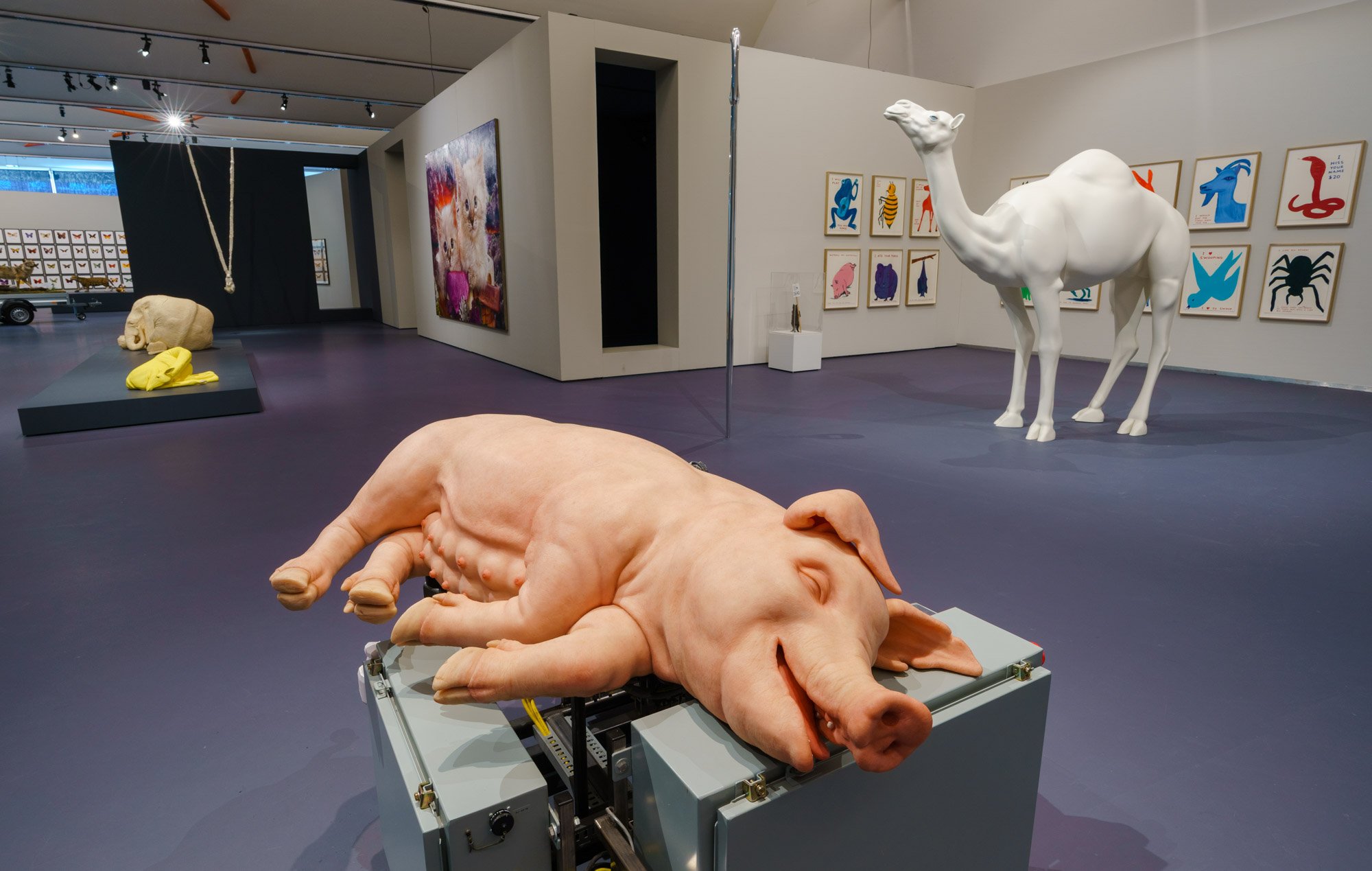 Tentoonstelling We Are Animals in Kunsthal Rotterdam. Foto Marco De Swart We Are Animals Low Res 07.JPG