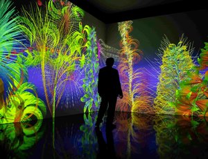 Flowers & Cocktail Tour