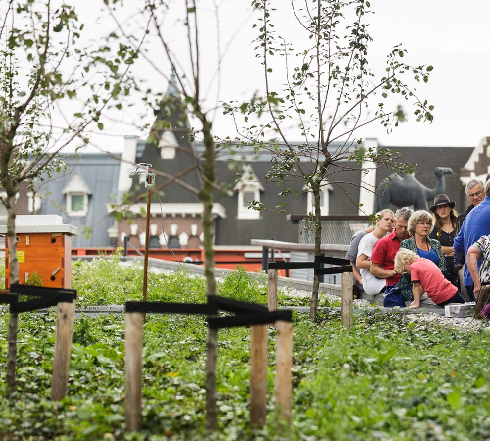 Meimaand Bijmaand in samenwerking met Odin