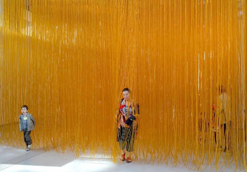 Jesús Rafael Soto, Pénétrable de Lyon, 1988, Collection Musée d’Art Contemporain MAC, Lyon Photo Blaise Adilon 2015-32585-CU-Hotel de région.jpg