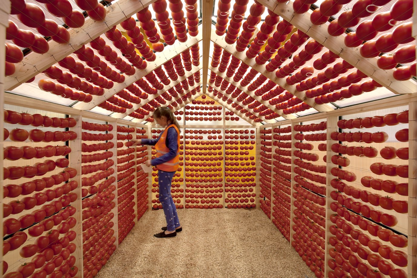 Tomatenfabriek_19.JPG
