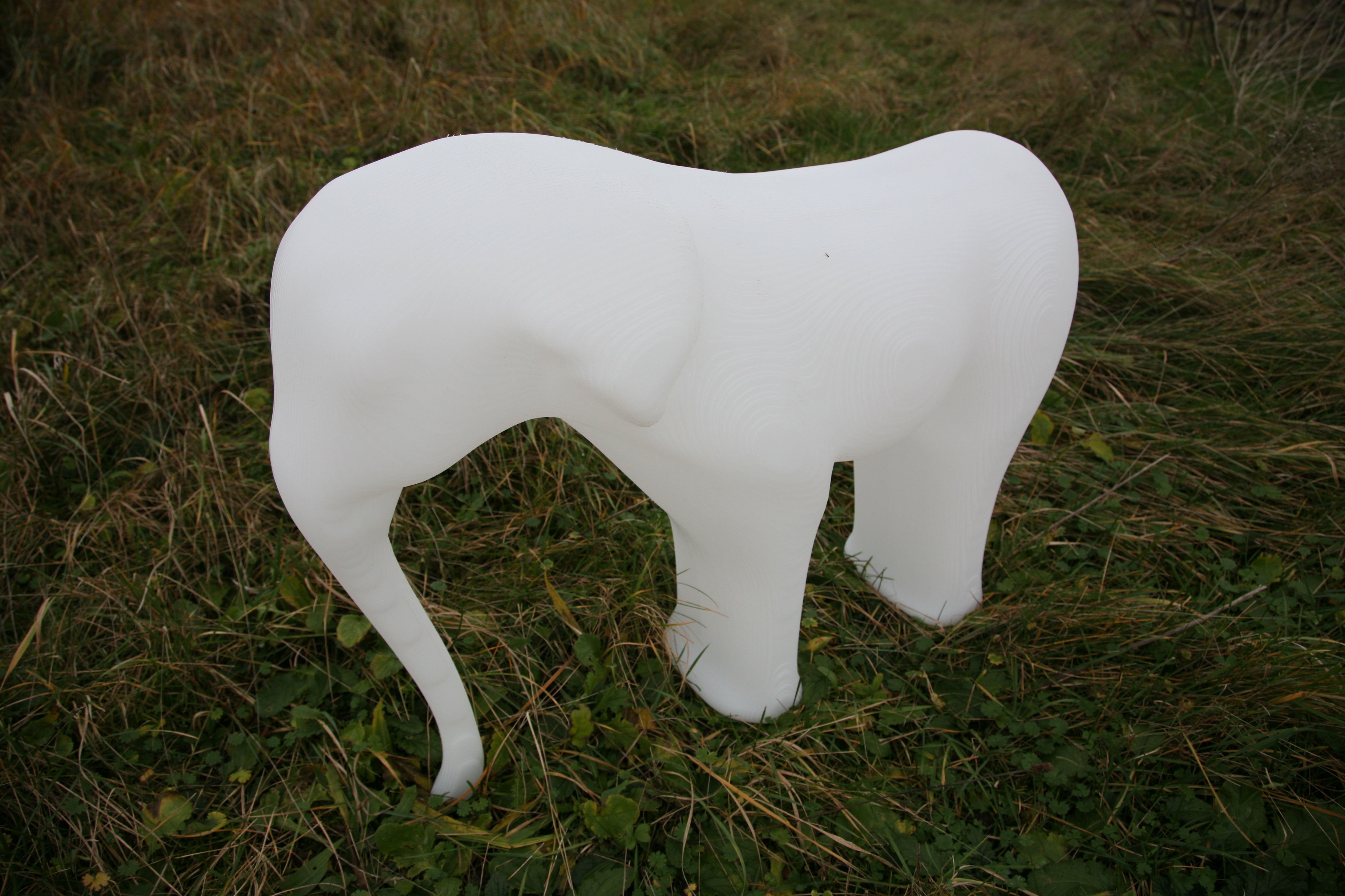 3. Elephant.jpg