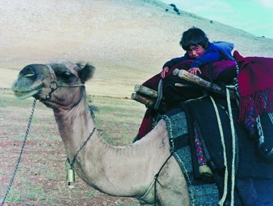 2. nomadenkind op een kameel.jpg