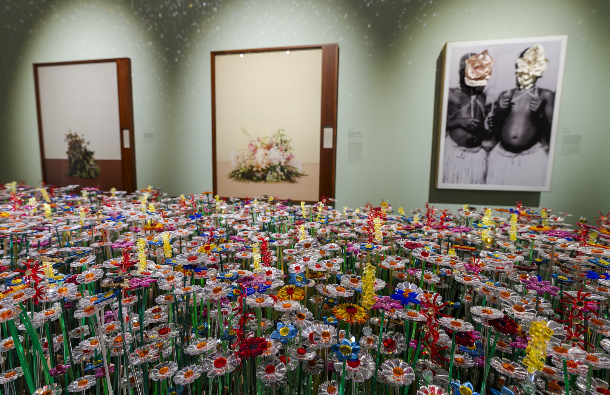 Exhibition Flowers Forever. Photo: Marco De Swart MDS_NN Art Award 2026 en Flowers Forever Low Res 71.JPG