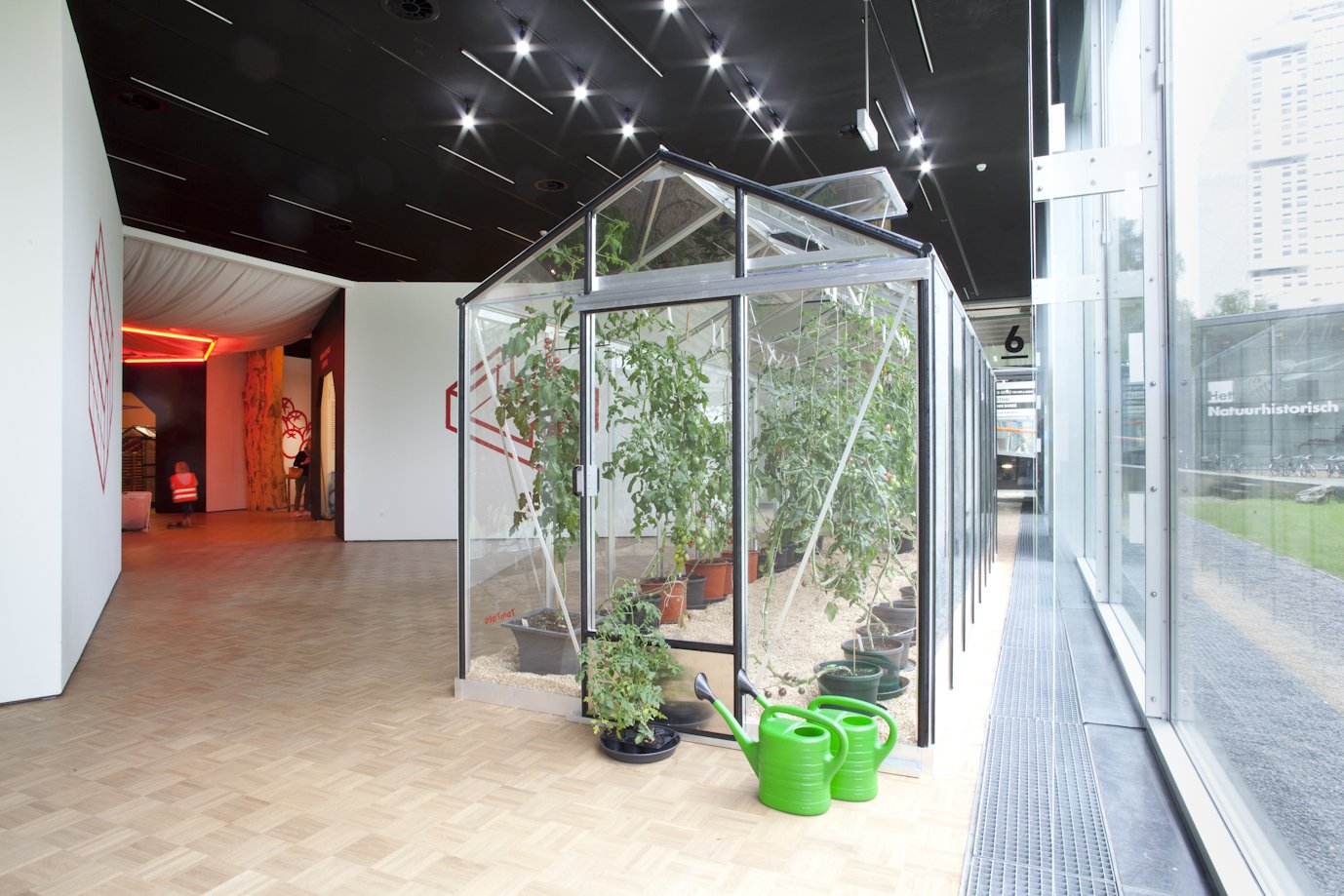 Tomatenfabriek_37.JPG
