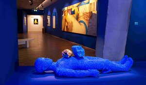 Vacature stagiair assistent curator