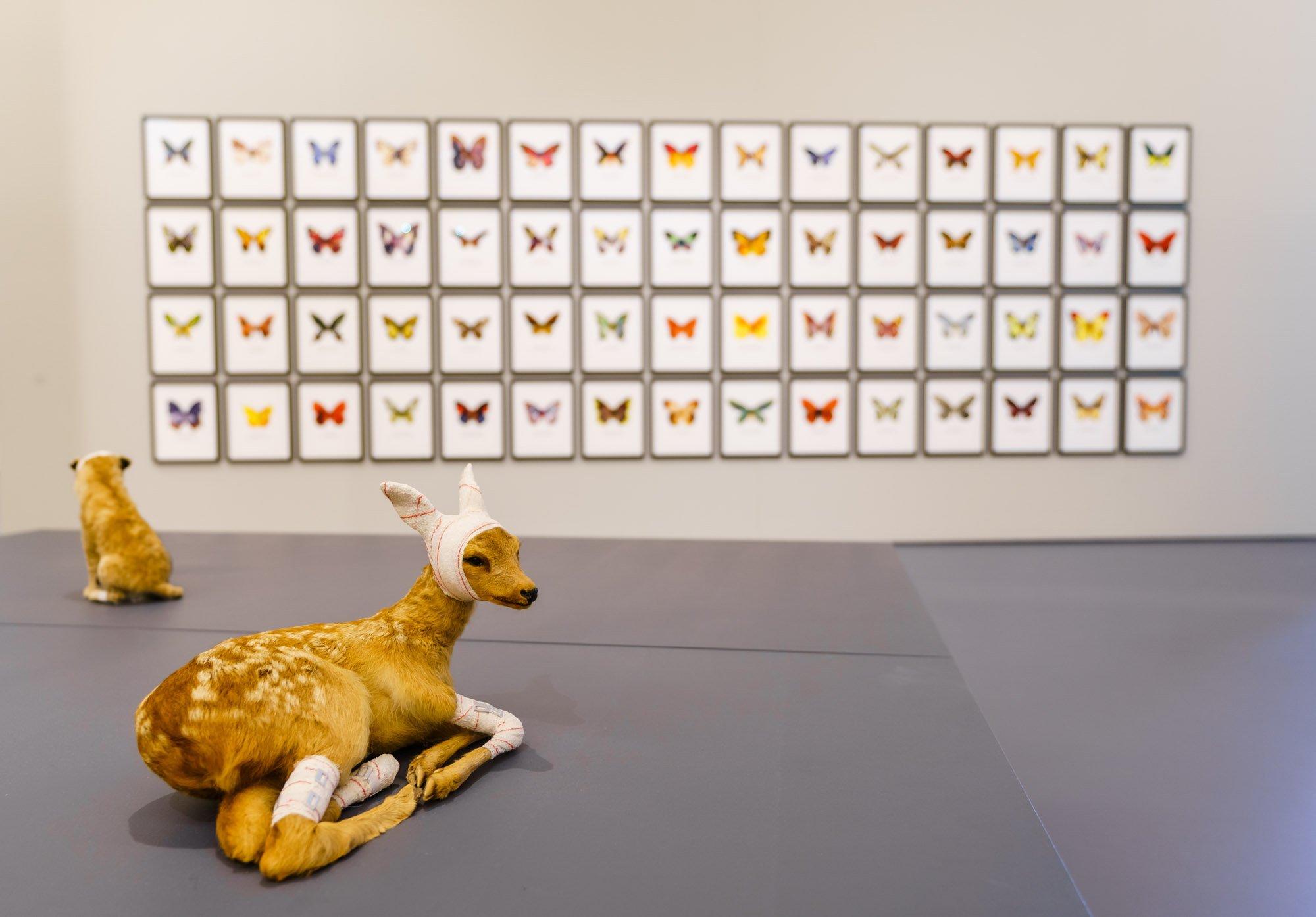 We Are Animals, Kunsthal Rotterdam, foto Marco De Swart We Are Animals 22 juni 2021 Low Res 12.JPG