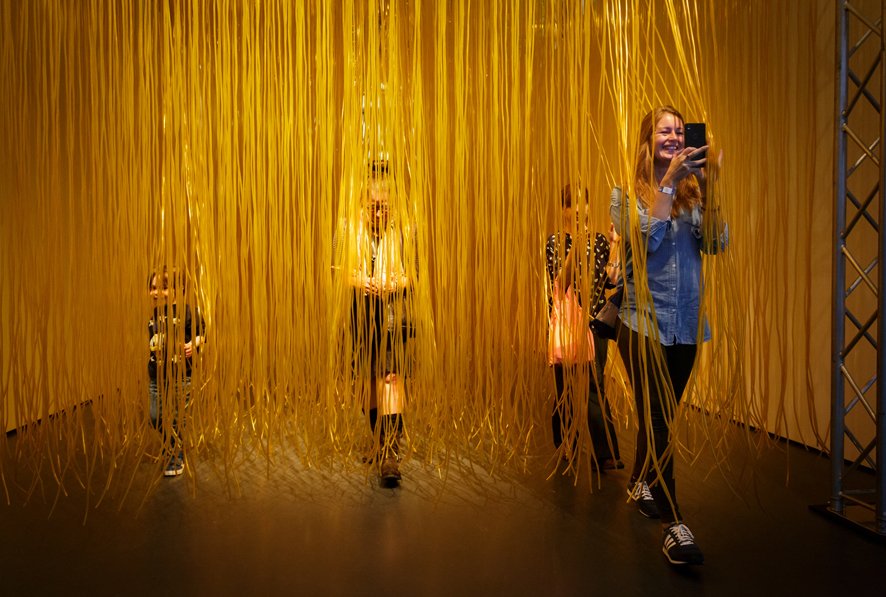 Visitors to the work Pénétrable de Lyon, 1988 of Jesús Rafael Soto. Exhibition Action <-> Reaction. 100 Years of Kinetic Art. Photo Fred Ernst Opening -dag en avond-Actie Reactie_22 sept 2018_foto Fred Ernst (103).jpg