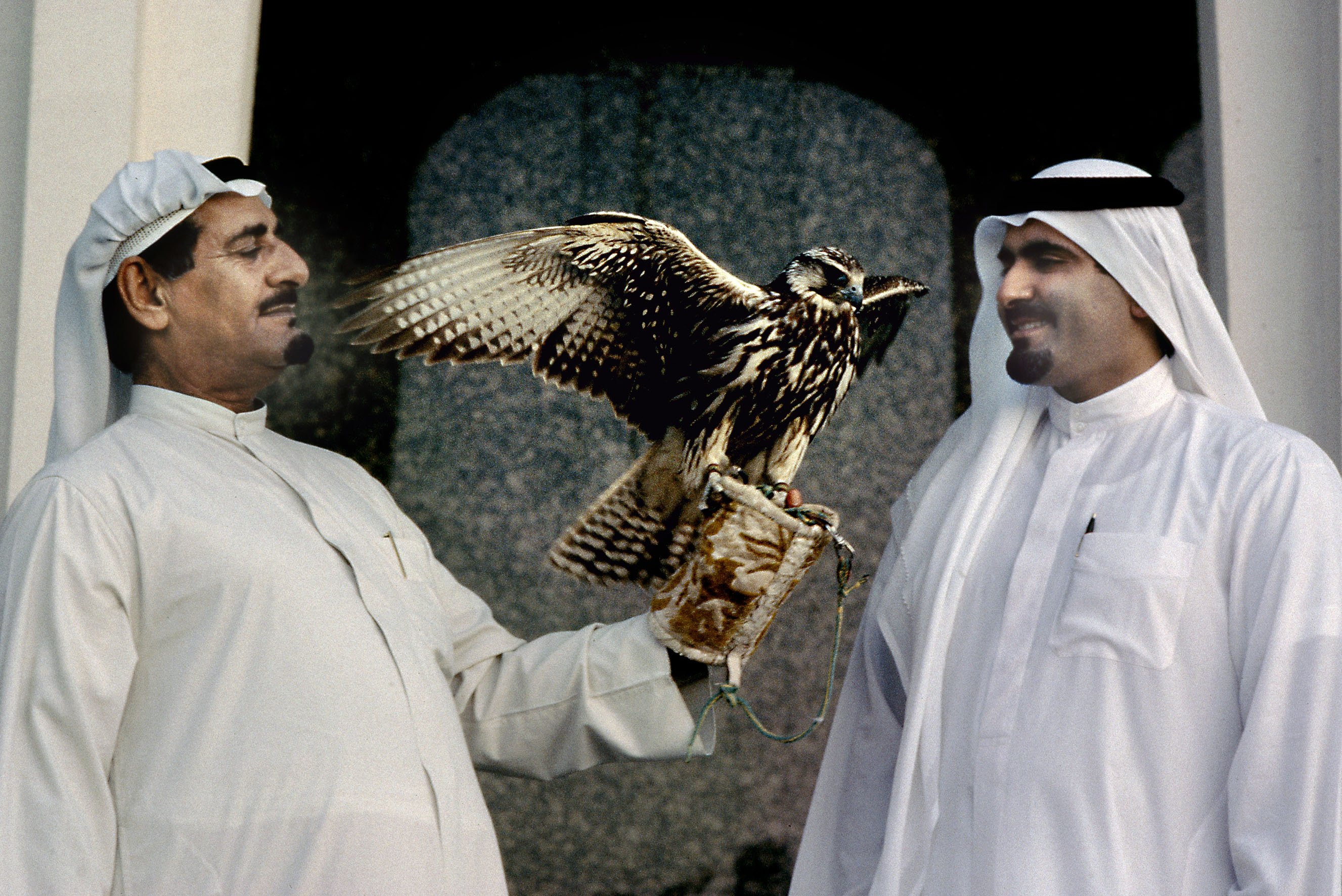 Sjeik Ali Bin Rashid Al Nuaimi met zijn zoon Sjeik Mohammed in het paleis van het Emiraat Ajman met hun favoriete valk, 1986 05. Eddy Posthuma de Boer.jpg