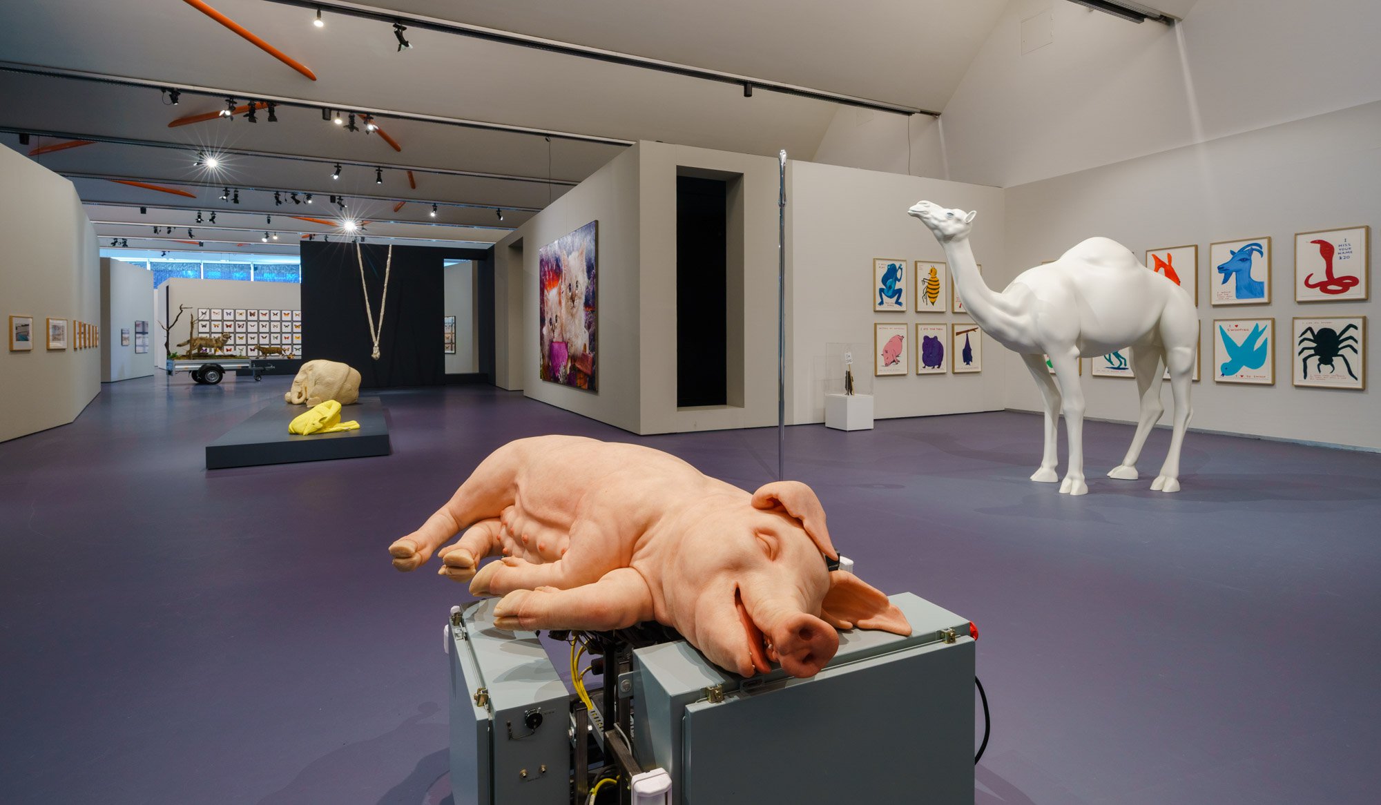 We Are Animals, photo: Marco De Swart We Are Animals_KunsthalRotterdam_FotoMarcoDeSwart_LR (6).JPG