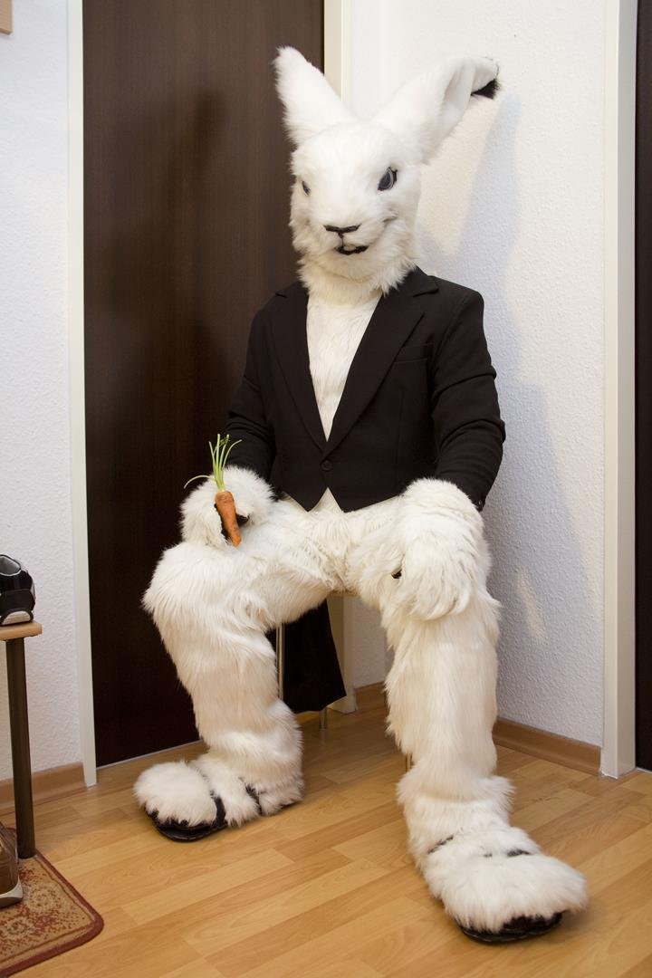 Usagi, 2011 03_Lybeer_Usagi_2011_LR.jpg