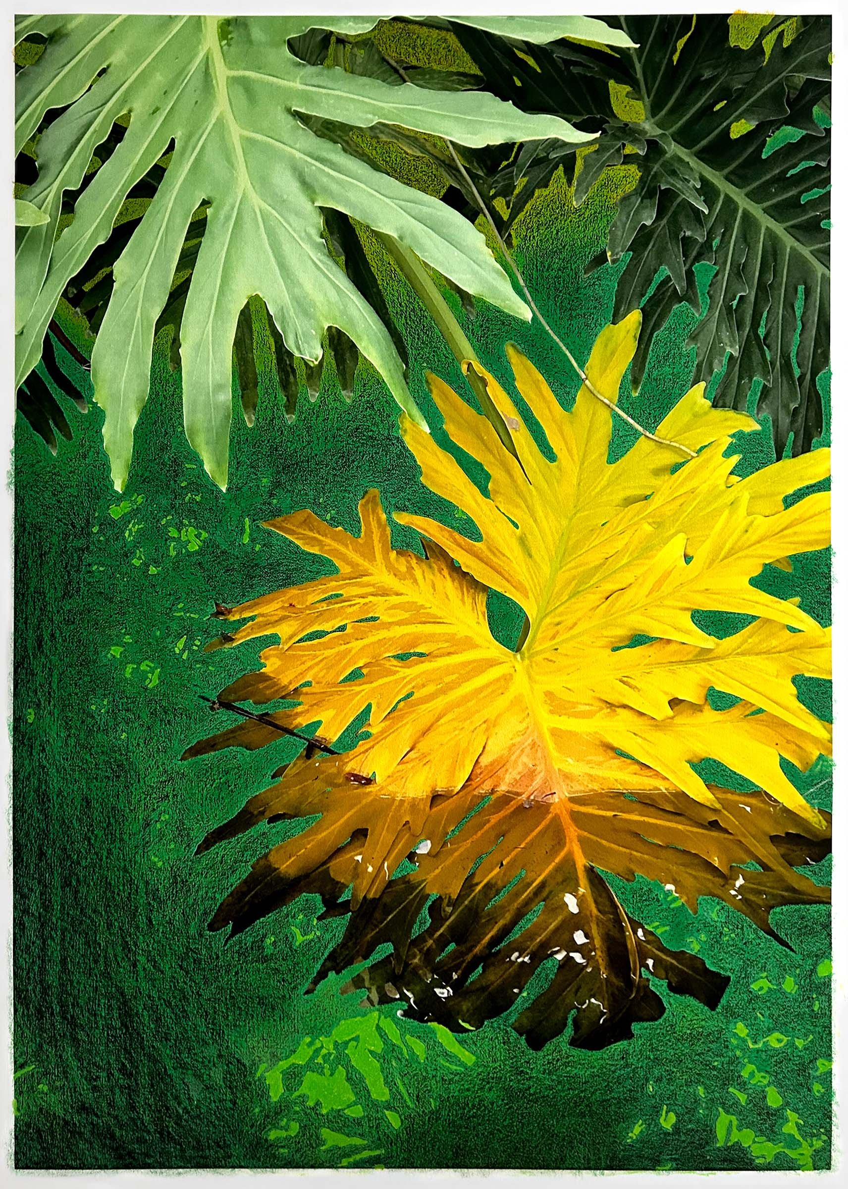 Rijksakademie-donatie-copy LR.jpg