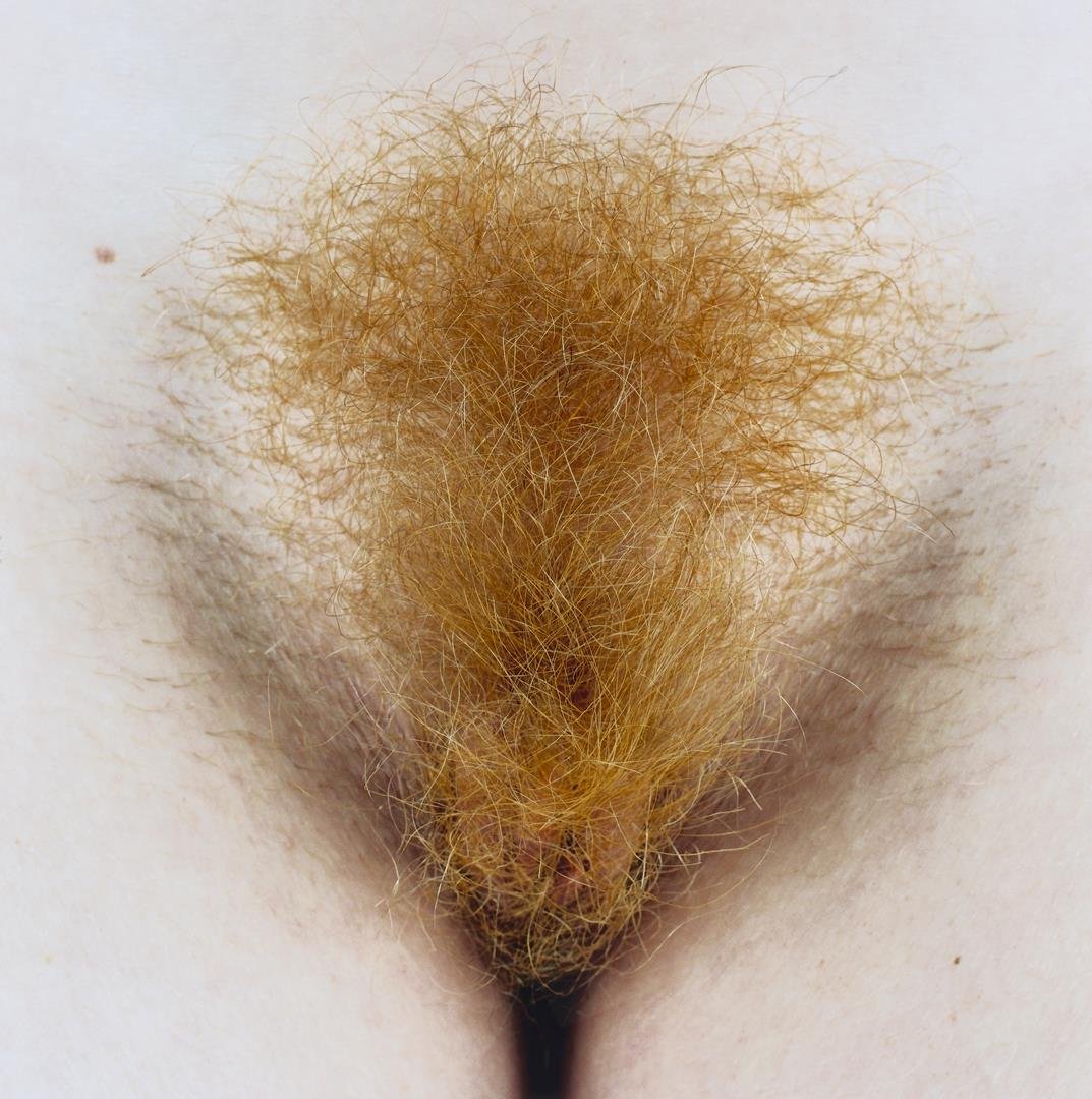 HAIR, Herlinde Koelbl 4 - LR.jpg
