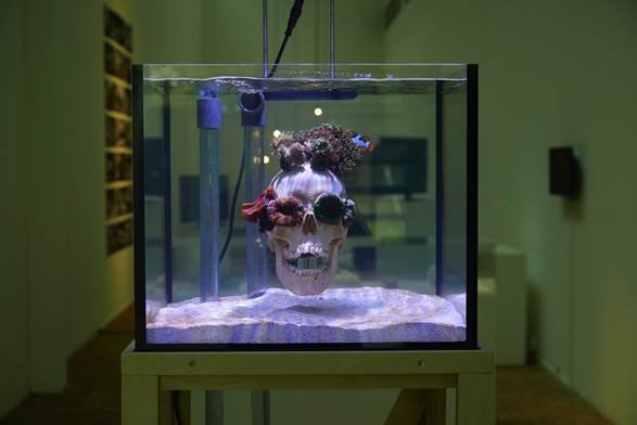 Aquarium tank, human skull, various live corals, LED light with UV spectrum, saltwater filter, pump, plumbing, and wooden pedestal image001.jpg