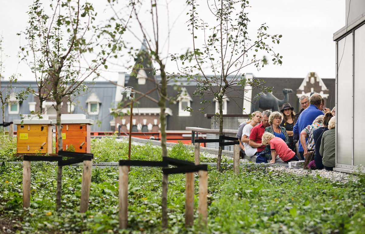 Bee tour on the Kunsthal roof, photo Fred Ernst 140927-FE0419-FredErnst-1200px.jpg