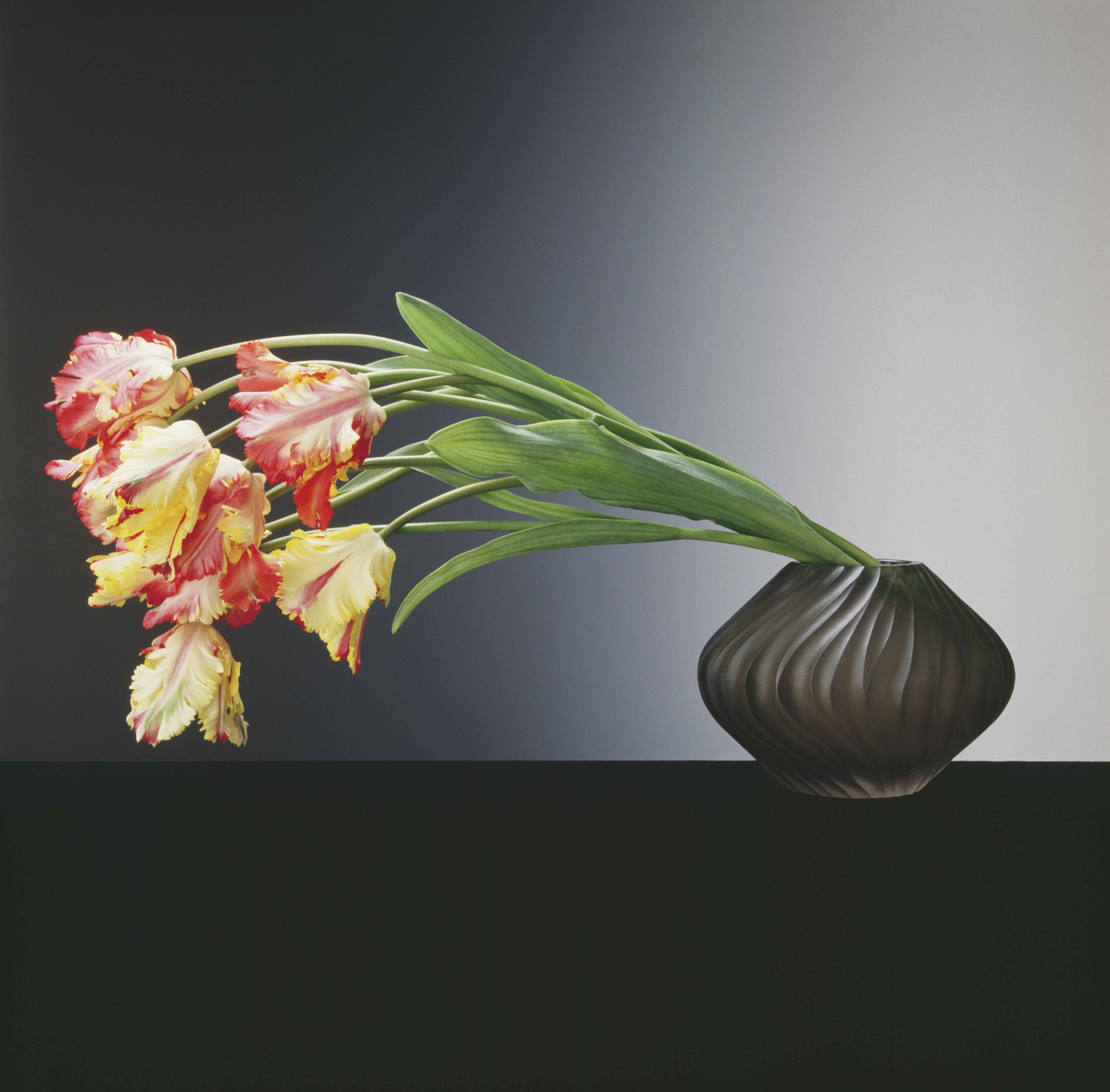 Robert Mapplethorpe - Parrot Tulips (1988) ©The Robert Mapplethorpe Foundation DT1853_ParrotTulips_1988_3000dpi.jpg