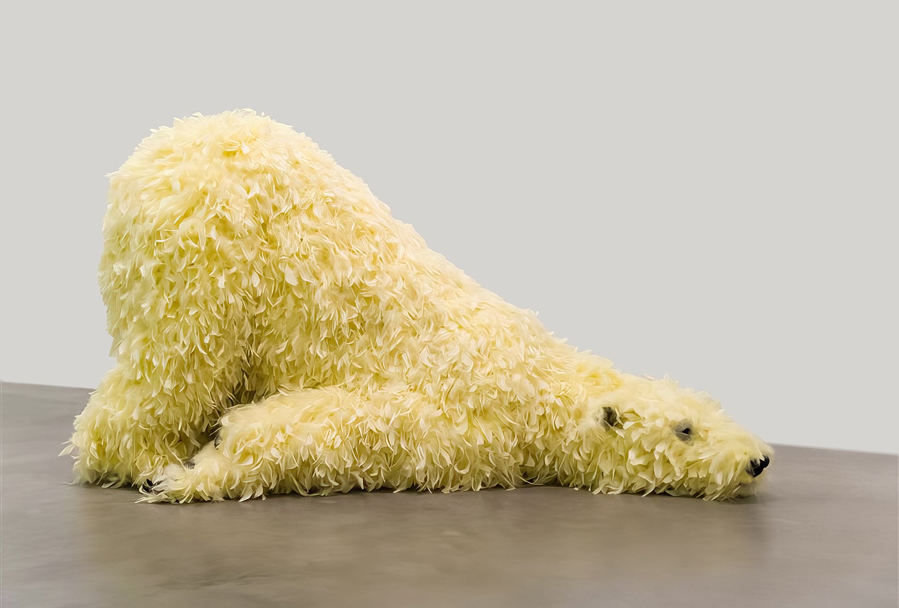 Paola Pivi, Have you seen me before, 2008, Courtesy the artist and Perrotin 1. Paola Pivi, Have you seen me before, 2008, Courtesy the artist and Perrotin_LR.jpg