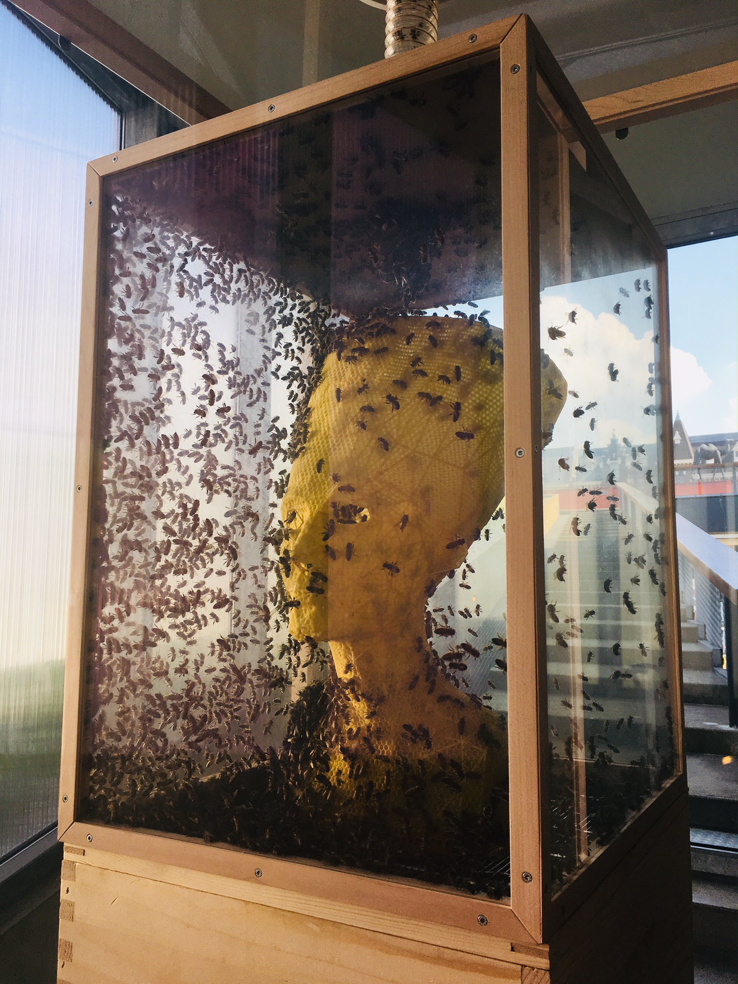 Tomáš Libertíny, ‘Eternity’, 2019, Kunsthal Rotterdam Bijen.jpg