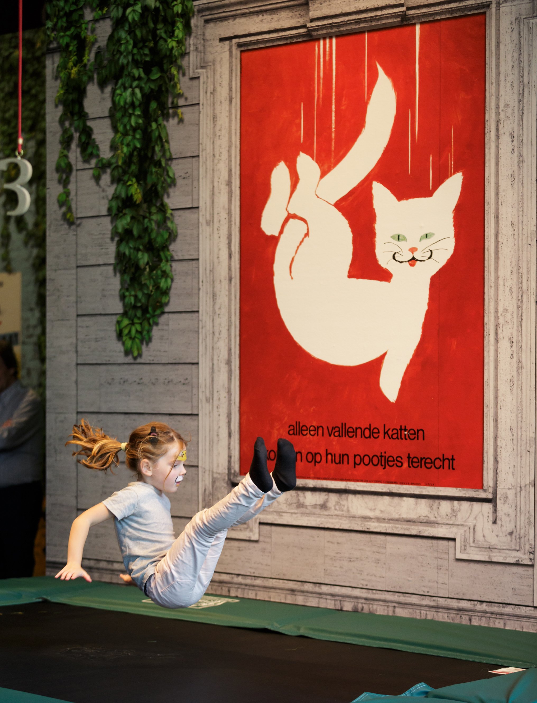 Kattenparadijs bij tentoonstelling 'Kattenliefde'. Foto: Fred Ernst 170910-FE0602-FredErnst-30cm.jpg