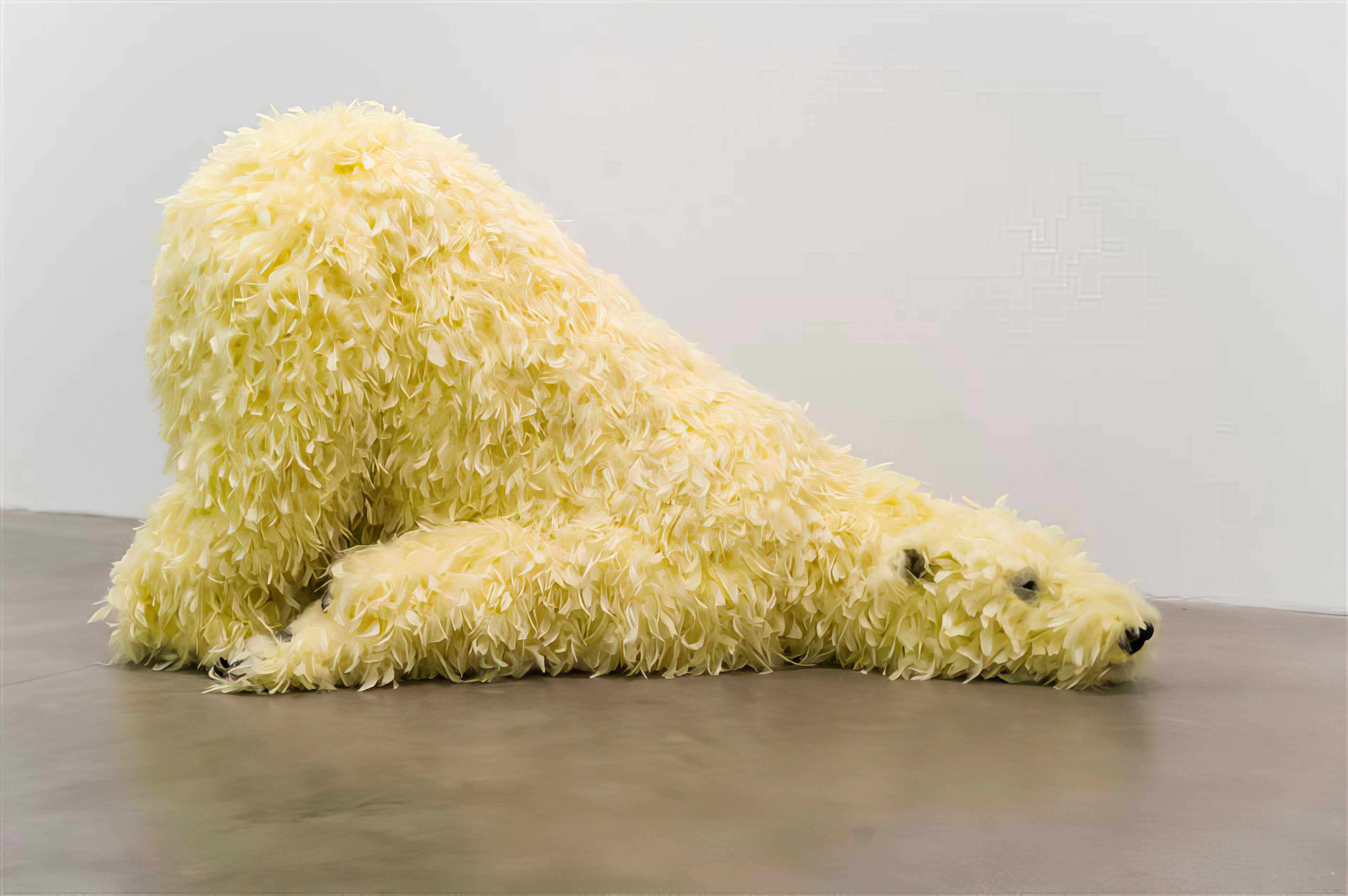 Paola Pivi, Have you seen me before?, 2008, Courtesy the artist and Perrotin, photo: Daniel Firman/Perrotin Paola Pivi - Have you seen me before_LR_We Are Animals_Kunsthal Rotterdam.jpg