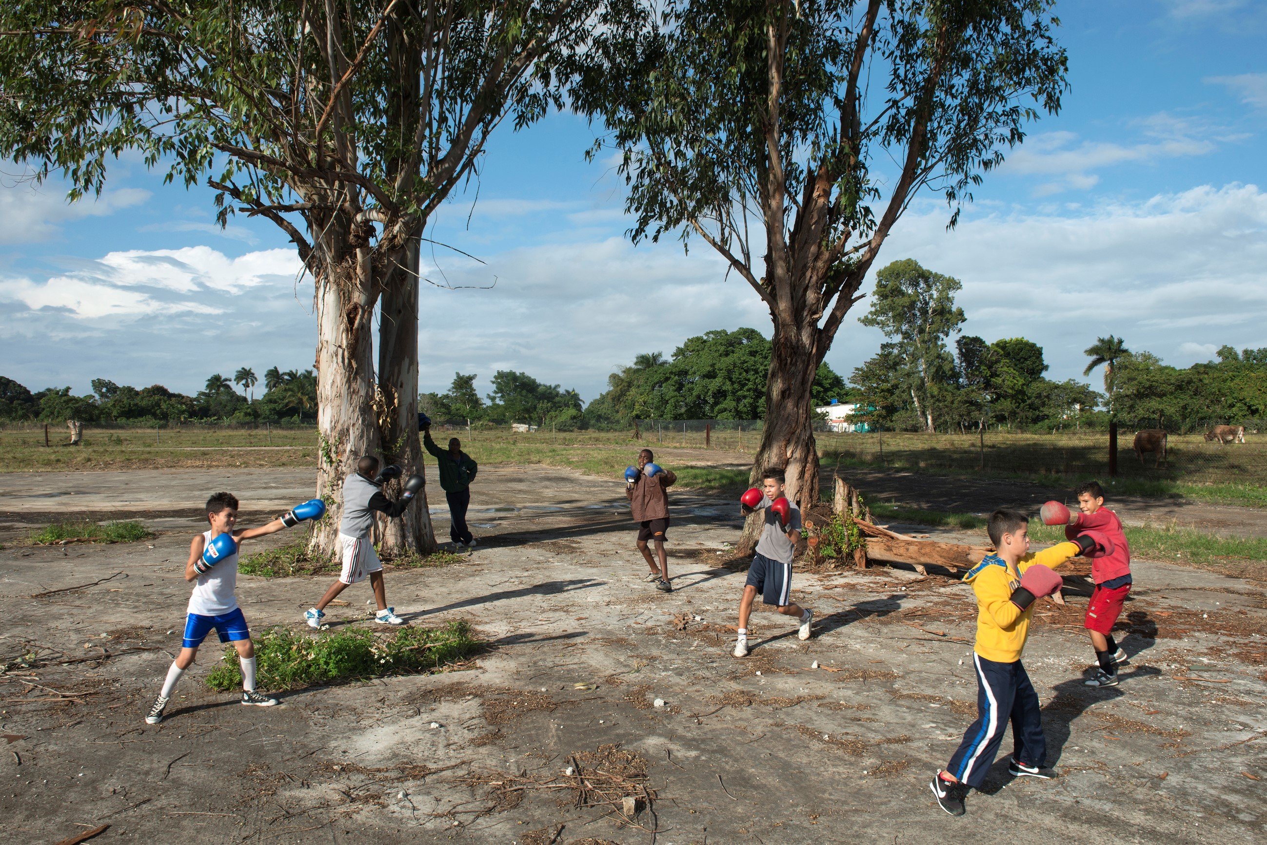 From the series Los Domadores, 2014 03 Uit de reeks Los Domadores, 2014 (2).jpg