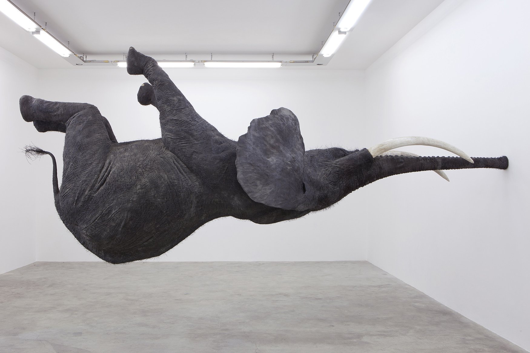 Daniel Firman, Nasutamanus, 2012, Courtesy the artist and Perrotin 6. Daniel Firman, Nasutamanus, 2012, Courtesy the artist and Perrotin_LR.jpg