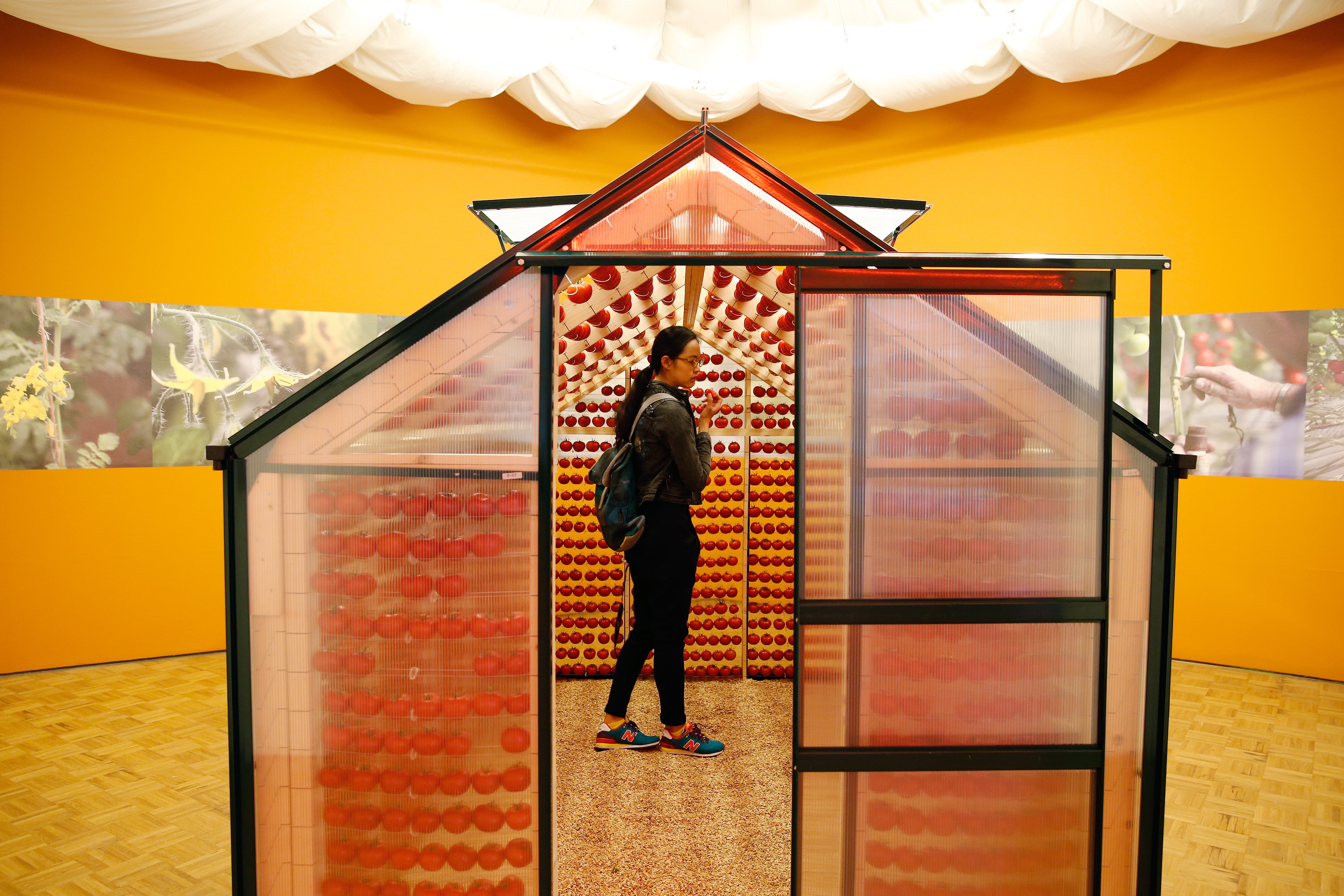 foto Bas Czerwinski 83. KunsthalKOOKT en Kweekt 2015_foto Bas Czerwinski.jpg