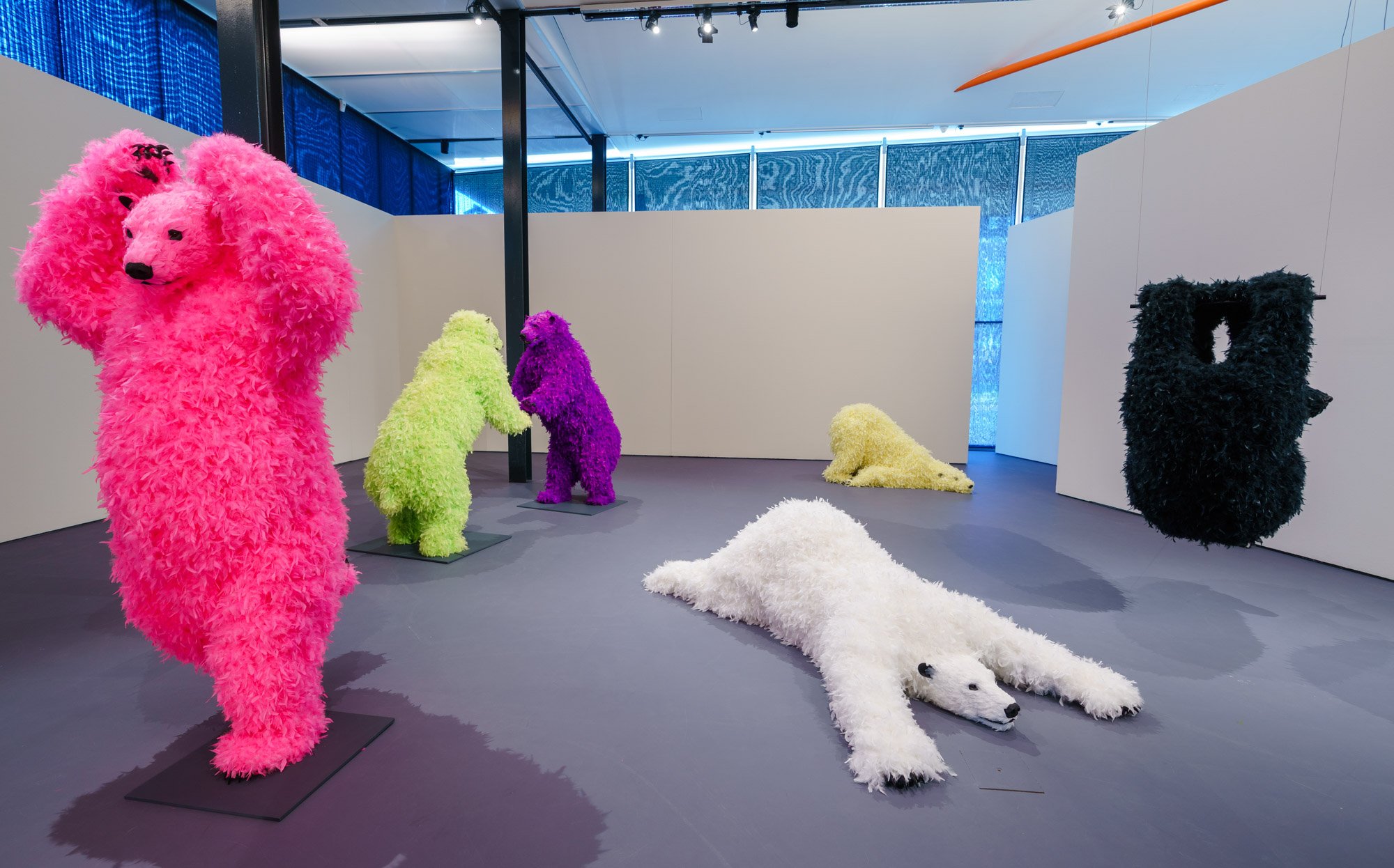 Various works by Paola Pivi in We Are Animals, Kunsthal Rotterdam, photo: Marco De Swart We Are Animals_KunsthalRotterdam_FotoMarcoDeSwart_LR (24).JPG