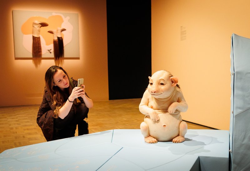 Patricia Piccinini
Metamorphosis
