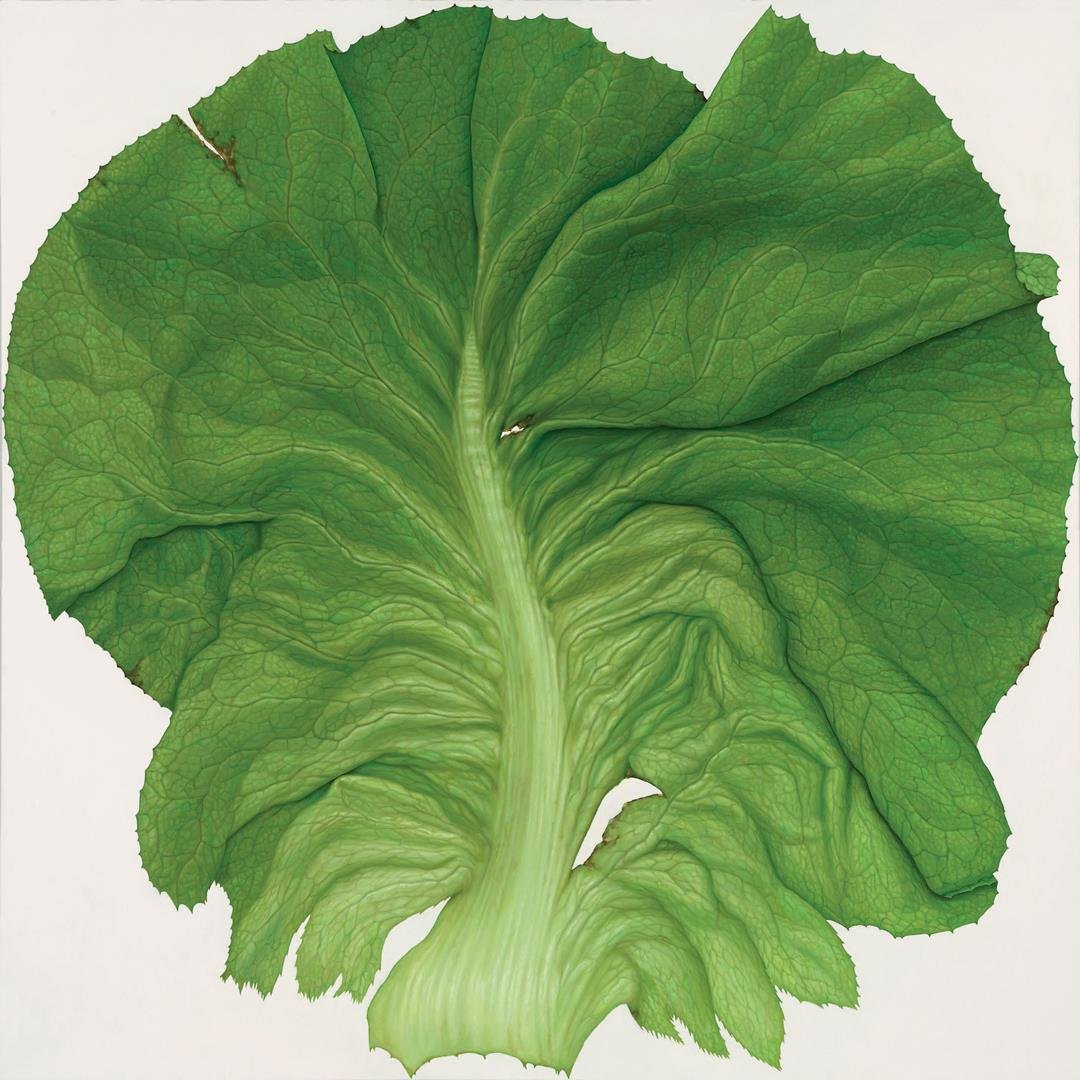 Slablad, 2006 02.René Wirths - LR.jpg