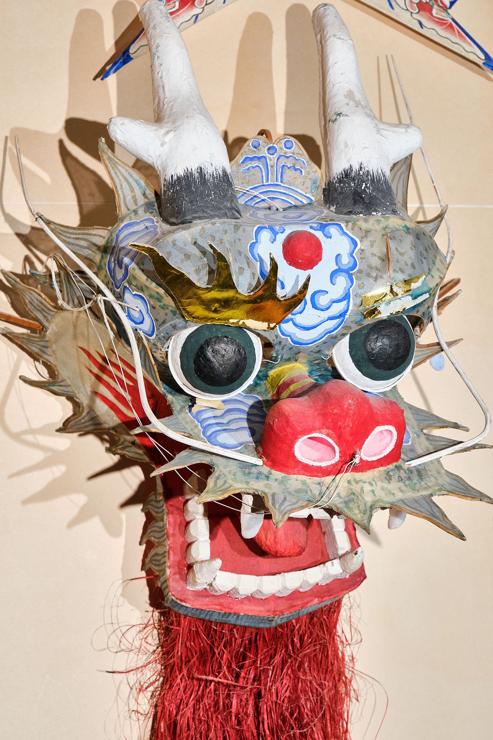 6_Head of a Chinese Dragon kite_LR.jpg